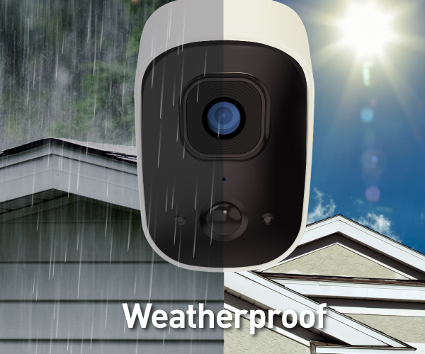 Reliable Performance Year-round