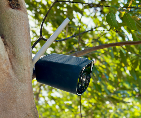 Invest in Protection